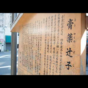 日本テレビ「ぶらり途中下車の旅」に竹笹堂